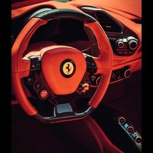 Meet your Posher, Sammy